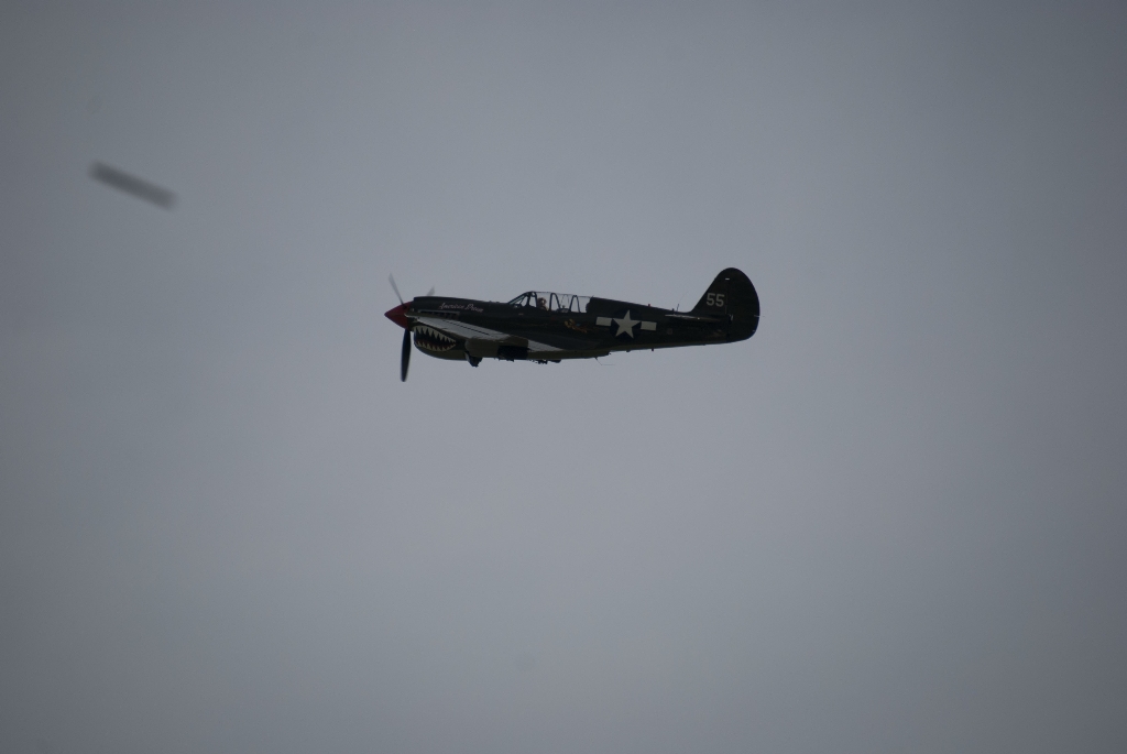 DSC_2675.jpg